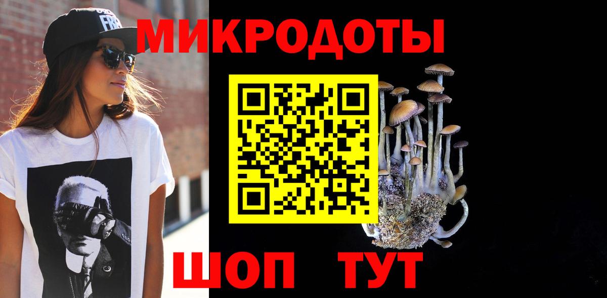 Галлюциногенные грибы Psilocybine cubensis  Вход с VPN  Серов 